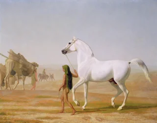 Der Wellesley Grey Arabian durch die Wüste geführt, um 1810
